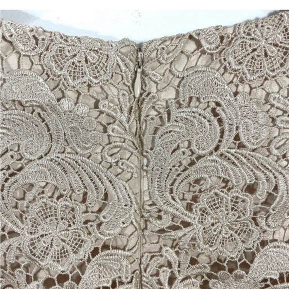 WHBM Champagne Lace 3/4 Sleeve Mini Dress - Picture 3 of 3